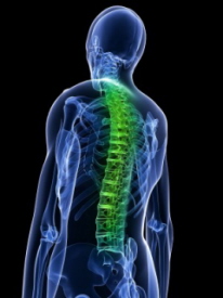 spinal cord injury1